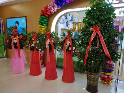 齊齊哈爾市金色雨林開業慶典圓滿成功，專業服務鑄就輝煌時刻